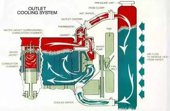 91香蕉视频在线观看