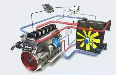 91香蕉视频在线观看